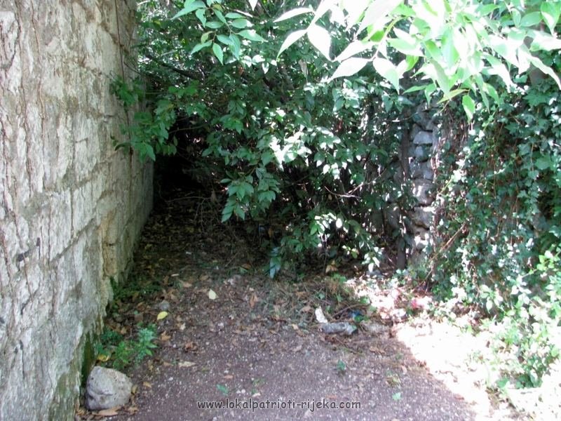 via wth 03081280x768.jpg