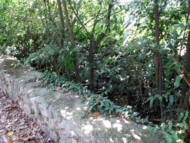 via wth 03091280x768.jpg