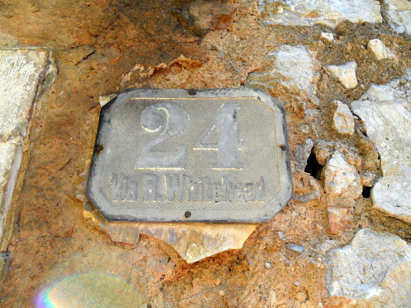 sam0232b.jpg