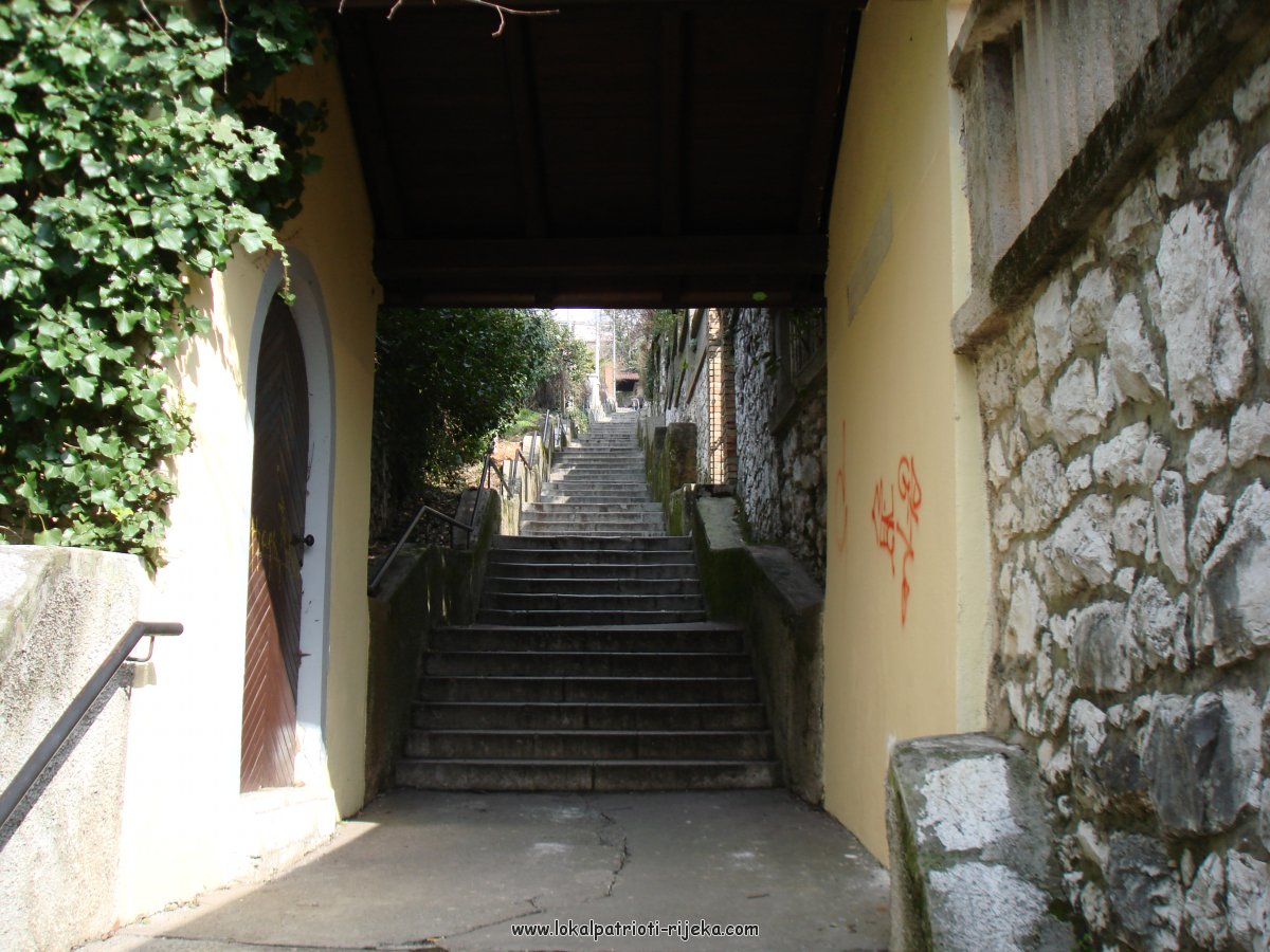 DSC01009.JPG