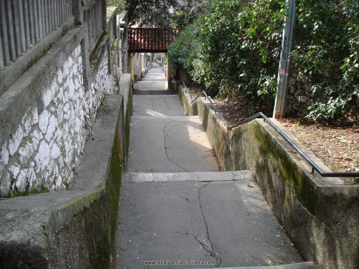 DSC01013.JPG