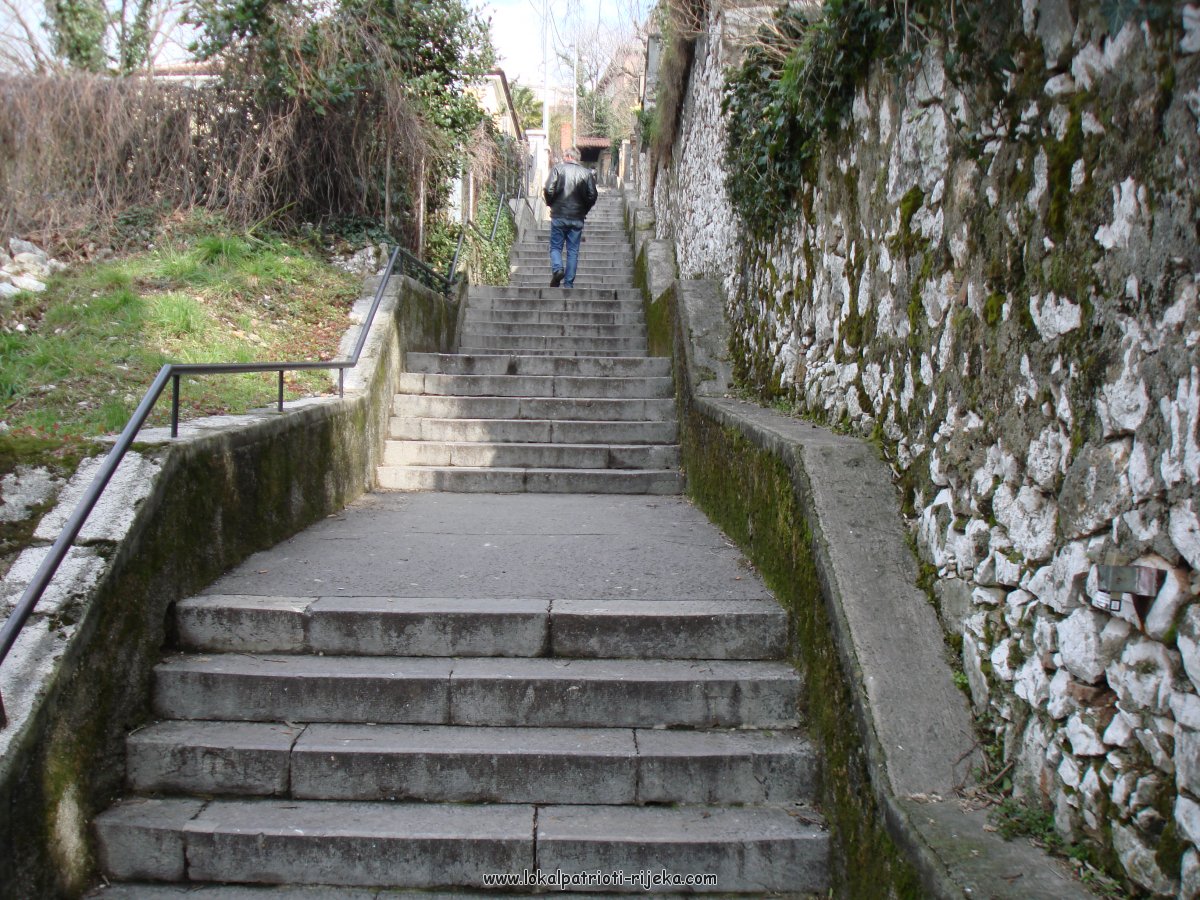 DSC01014.JPG