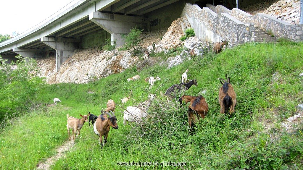 Draška dolina (1).JPG