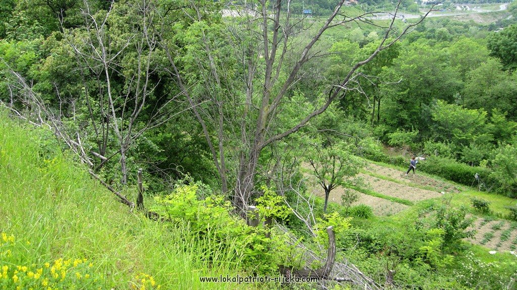 Draška dolina (6).JPG