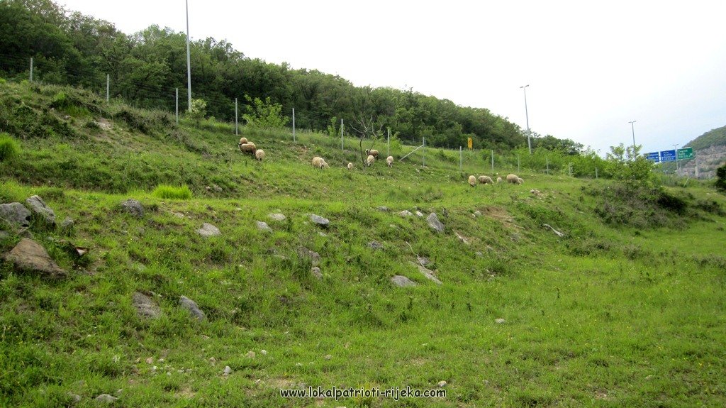 Draška dolina (8).JPG