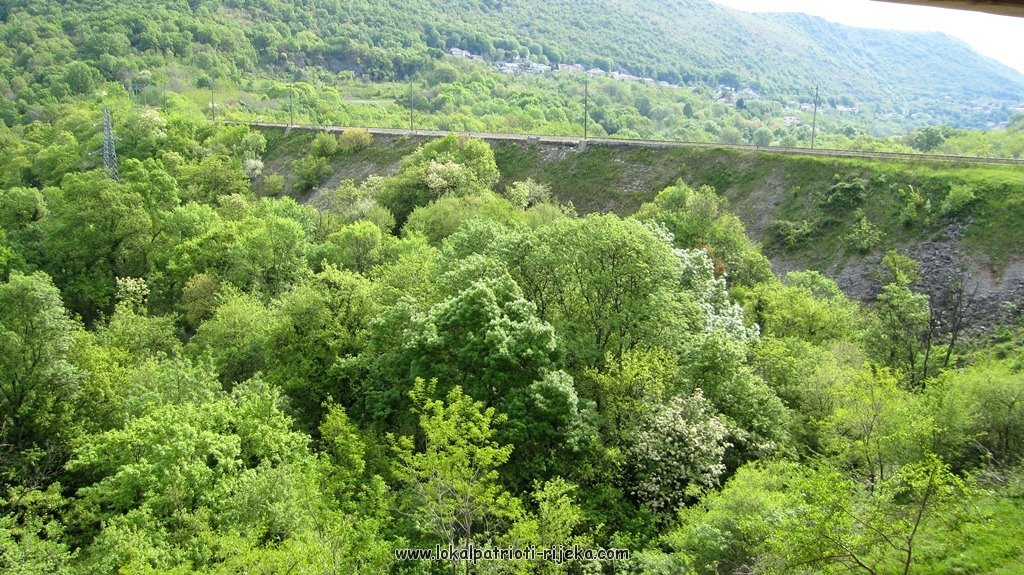 Sv.Ana-perilo Draga (5).JPG