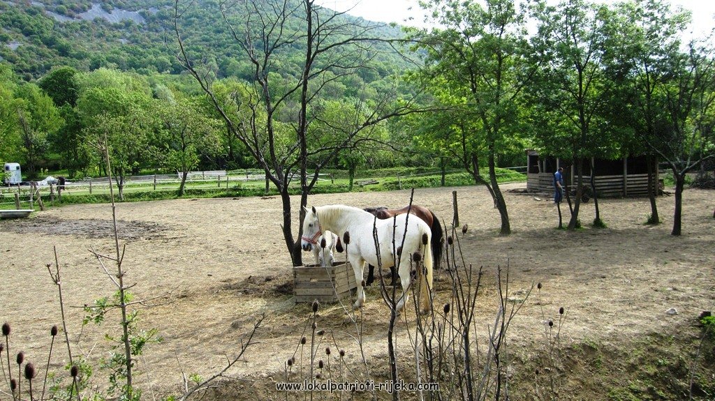 Sv.Ana-perilo Draga (8).JPG