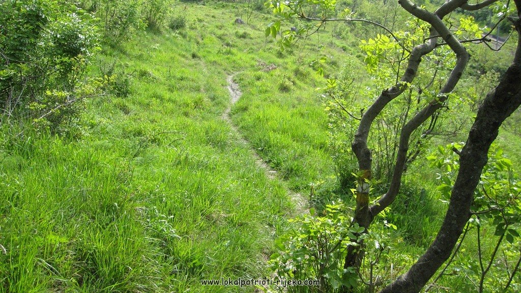 Sv.Ana-perilo Draga (10).JPG