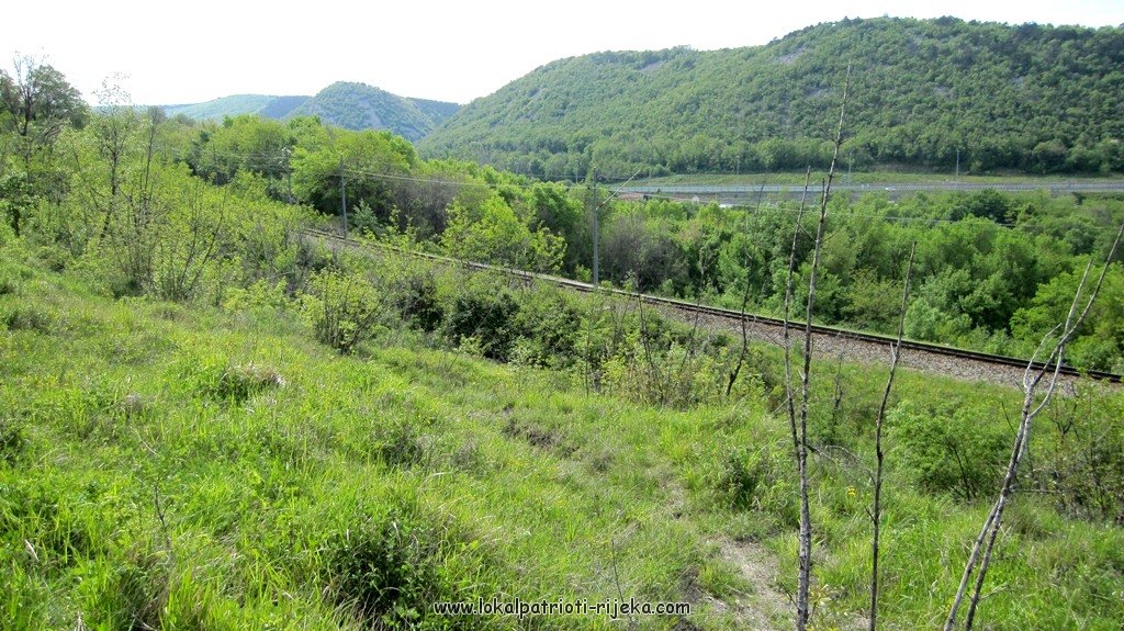 Sv.Ana-perilo Draga (11).JPG