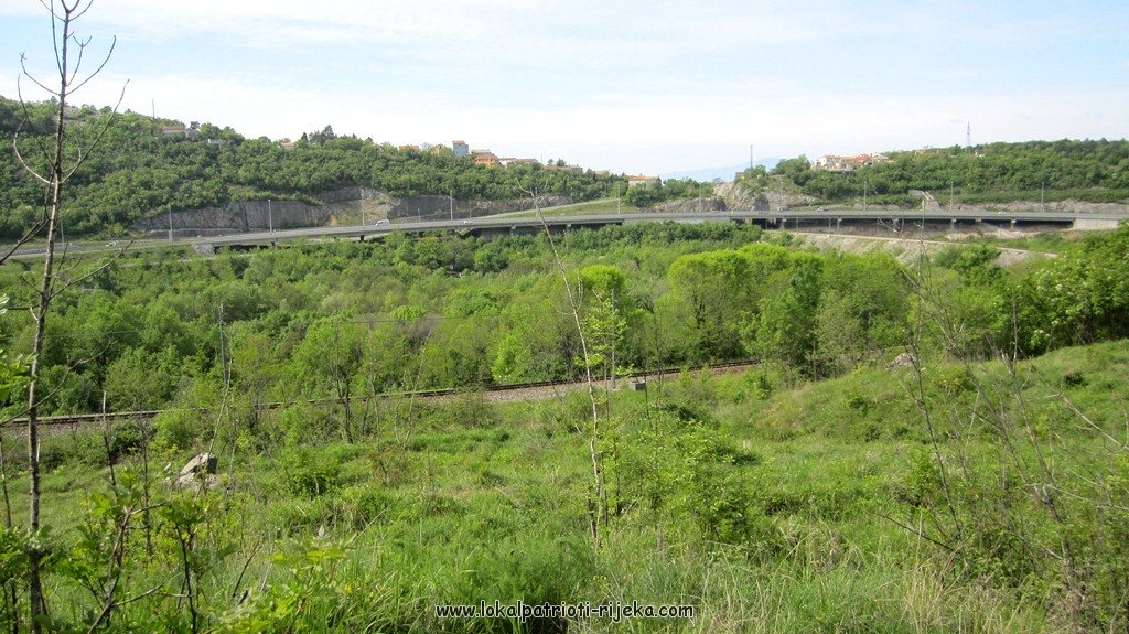 Sv.Ana-perilo Draga (13).JPG