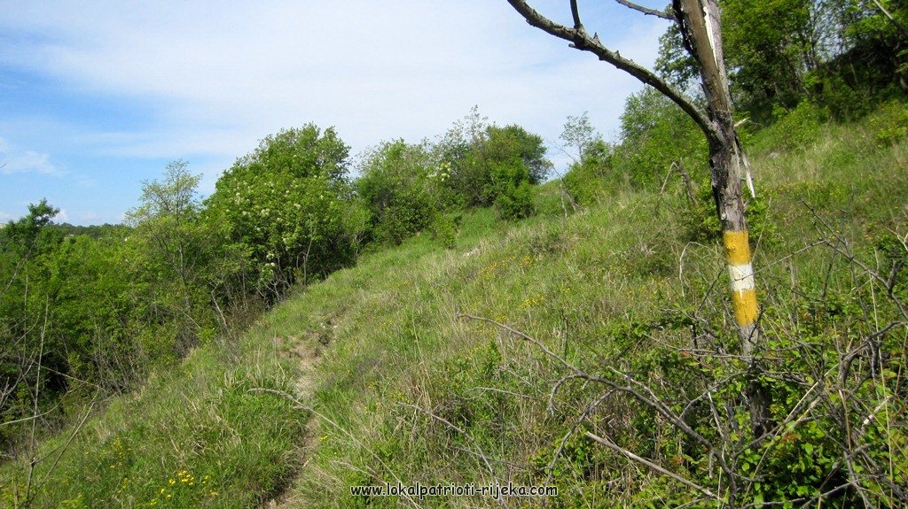 Sv.Ana-perilo Draga (15).JPG