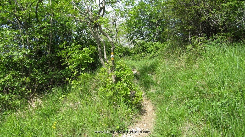 Sv.Ana-perilo Draga (16).JPG