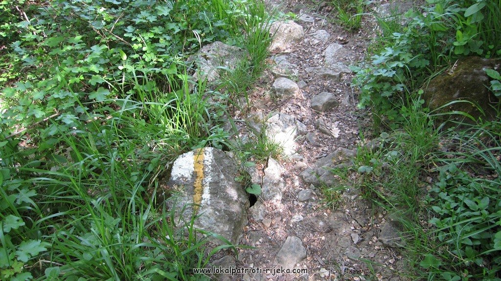 Sv.Ana-perilo Draga (17).JPG