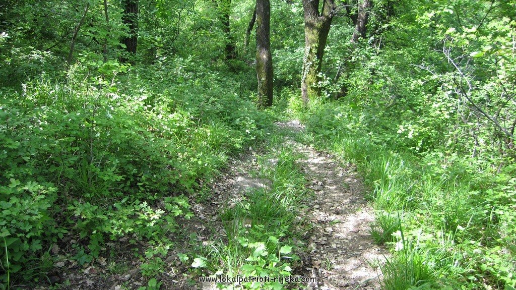 Sv.Ana-perilo Draga (18).JPG